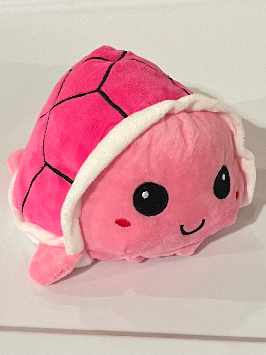 Moody Turtle Plush Toy